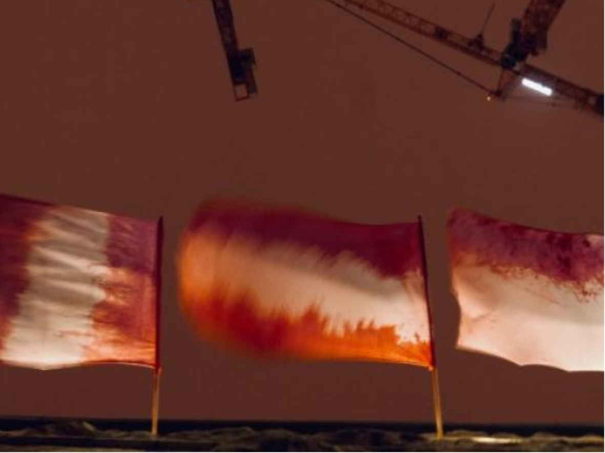 Krajowe buraki państwowe znaki